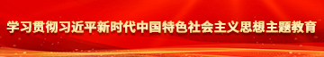 大黑吊操视频学习贯彻习近平新时代中国特色社会主义思想主题教育